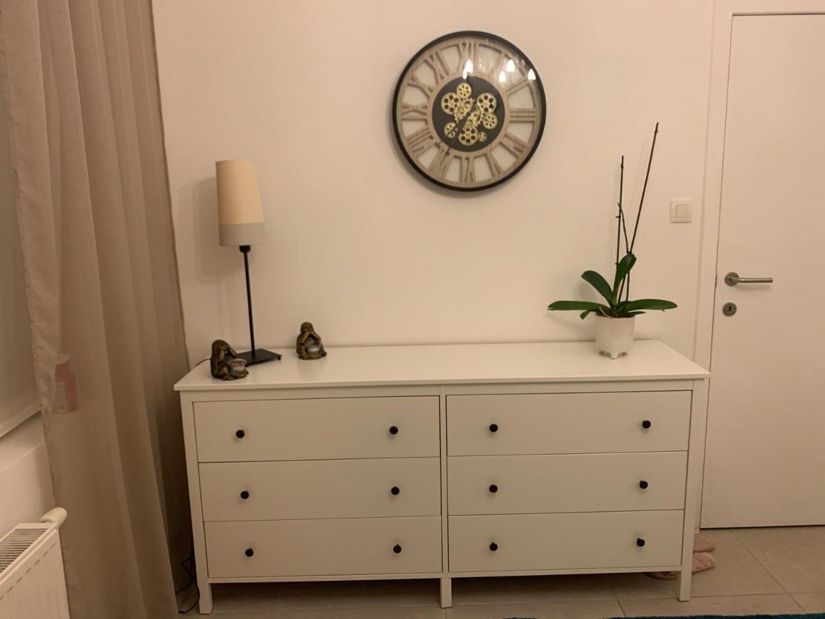 Vintage dream Leilighet Zwijndrecht Eksteriør bilde